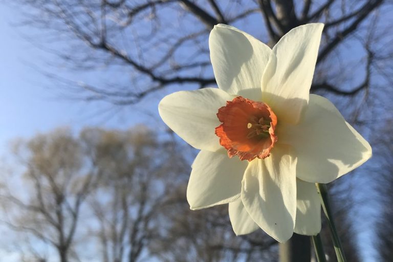 Ostern in Trinitatis