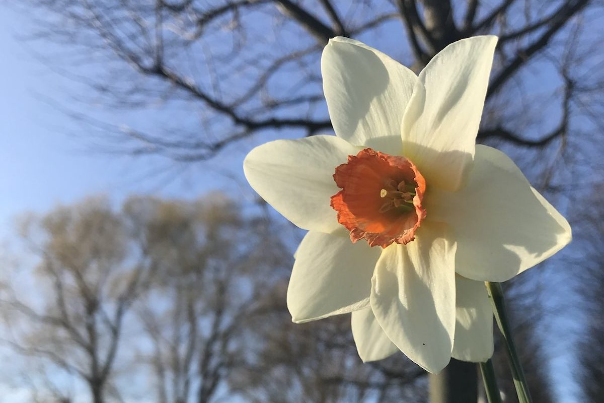 Ostern in Trinitatis